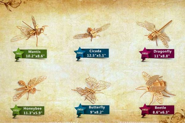 3D Wooden Insect Puzzle - 6 Piece Set Insect Animal Skeleton Assembly Model Puzzle - DIY Wooden Crafts 3D Puzzle -  Toys Gifts for Kids and Adults Teens Boys Girls